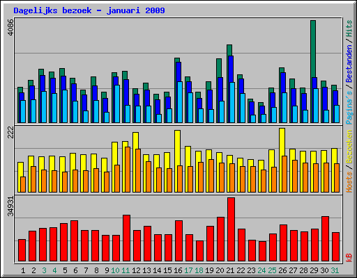 Dagelijks bezoek - januari 2009