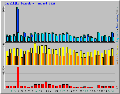 Dagelijks bezoek - januari 2021