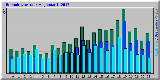 Bezoek per uur - januari 2017