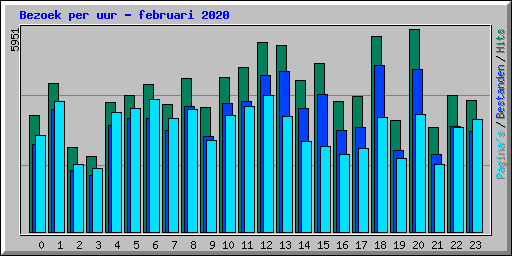 Bezoek per uur - februari 2020