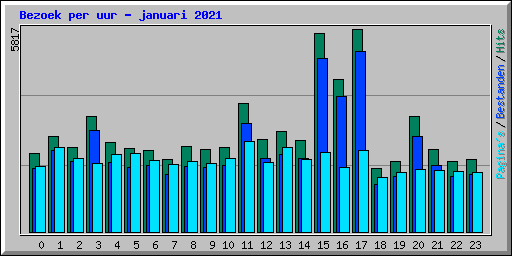 Bezoek per uur - januari 2021